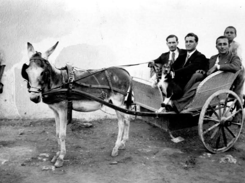 CAPACCIO PAESTUM: LA FRITTURA, IL CALESSE ED IL BEN&nbsp;SERVITO