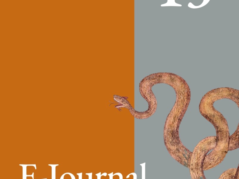 Attività scavi Pompei e&nbsp;dintorni